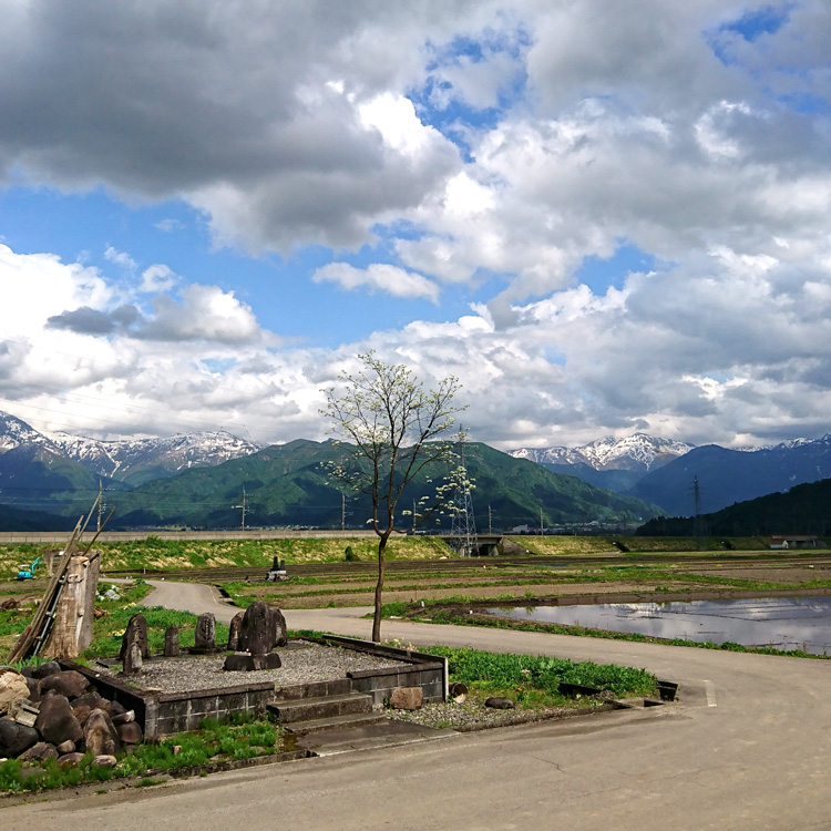 越後上布 千成堂着物店別注 出張の写真 新潟県