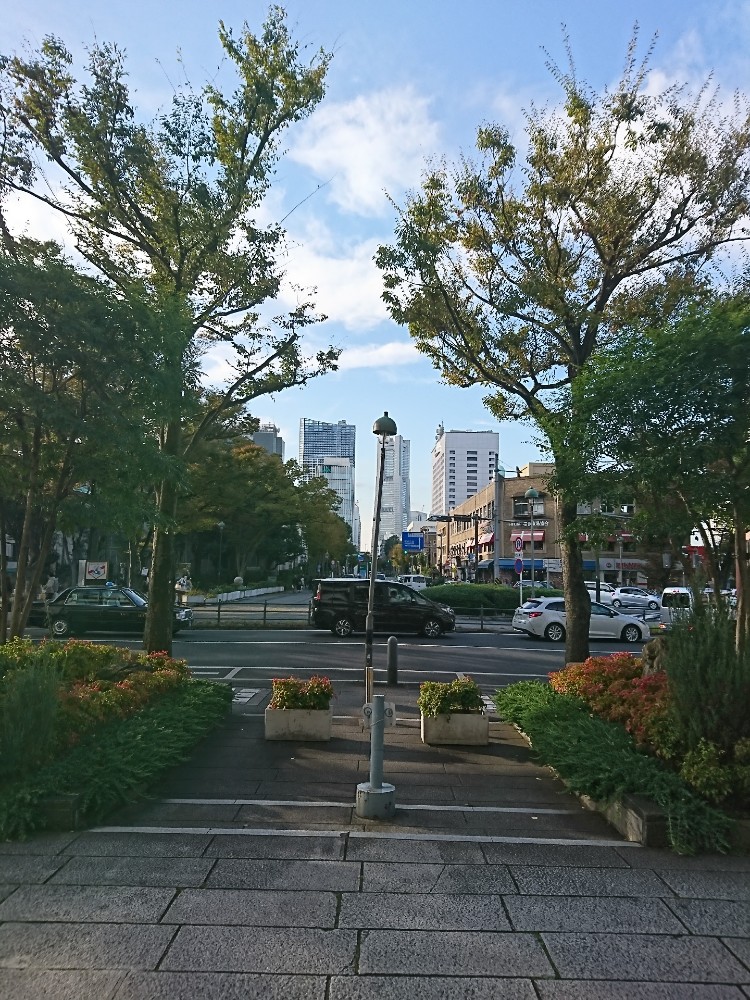 横浜シルクミュージアムから見るランドマークタワー